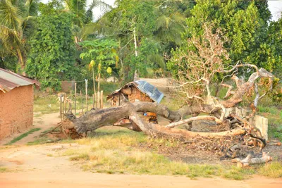 DSC_4290 (Large).JPG